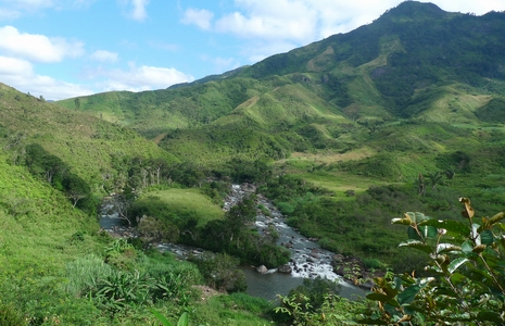 Paysage 2016.jpg